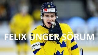 Felix Unger Sörum  Hockey Highlights [upl. by Trixy]