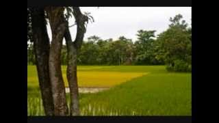 Bangla Desher Gaan Jonmo amar dhonno holo [upl. by Heger919]