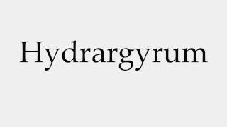 How to Pronounce Hydrargyrum [upl. by Tut254]