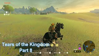 Tears of the Kingdom part 8 Walkthrough [upl. by Giffard]