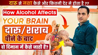 FullVideoदारूशराब पीने के बाद वो दिमाग में कैसे और कितनी देर मे जाती है  Alcohol effects on brain [upl. by Nollie]