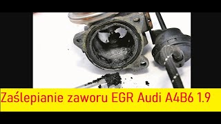 Zaślepianie EGR w Audi A4 B6 19 TDI AWX [upl. by Vial]