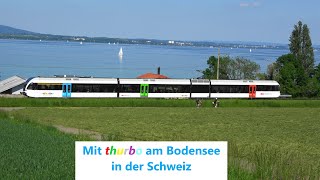 Schweiz Altnau Bodensee Thurbo🔃entlang am Bodensee mit Stadler FLIRT SBB RABe523 [upl. by Hudson849]