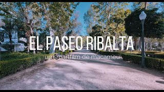 EL PASEO RIBALTA  CASTELLON  GOOGLE PIXEL 8  1080 60fps [upl. by Eiramadnil244]