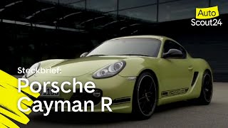 Porsche Cayman R Näher am 911 [upl. by Reaht]