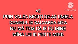 Negativ  Toiagul și nuiaua ta  Corina Moldovan [upl. by Semajwerdna]