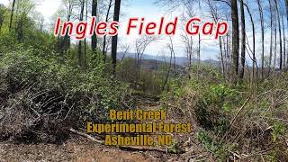 Ingles Field Gap  Bent Creek  Asheville NC  4152017  Mountain Biking  👜a🍩s [upl. by Adnorhs]