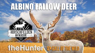 Hirschfelden Red Deer Guide TheHunter Call Of The Wild 2023 [upl. by Ime]