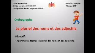 2ème AP  Le pluriel des noms et des adjectifs [upl. by Eitnom150]