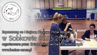 Zapraszamy na I Krajową Wystawę Psów Rasowych CAC ZHPR 07052017 Sobków [upl. by Theressa378]