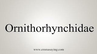 How To Say Ornithorhynchidae [upl. by Ylatan]