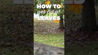 How to Get Rid of Leaves [upl. by Sitoeht]