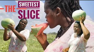 A Sweet Slice Of Life On A Watermelon Farm In Ghana  How To Check If It Is Ripe  Harvesting [upl. by Genisia]