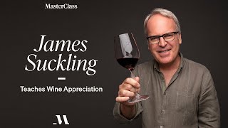 James Suckling Teaches Wine Appreciation  Official Trailer  MasterClass [upl. by Bowen970]