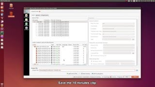 Make a 10 hours loop video in a few minutes with MKVToolNix GUI [upl. by Savick]