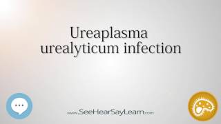 Ureaplasma urealyticum infection 🔊 [upl. by Hermy]