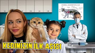 KEDİMİ VETERİNERE GÖTÜRDÜM   İsmini Seçiyoruz  GamzeKarta [upl. by Yemorej485]