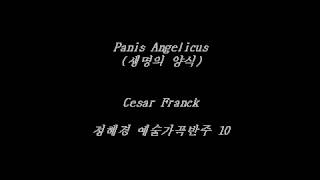 Panis Angelicus 생명의 양식 Franck  Accompaniment [upl. by Ikir809]