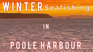 Poole Harbour Winter Months Fishing  Bass and Flounder Targets [upl. by Jay]