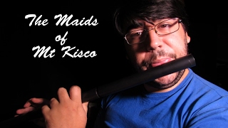 Flauta Irlandesa  The Maids of Mt Kisco  Reel  Copley Flute [upl. by Onirotciv]