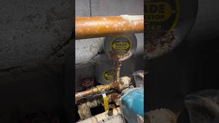 Water hammer arrestor leak How old is this thing plumbing shorts [upl. by Waxler332]