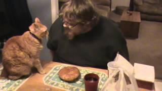 NO KITTY THATS MY POTPIE [upl. by Seve]