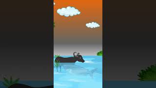 dolphin savedolphin viralvideos rever water error shorts odiacartoonvedio [upl. by Yerroc]