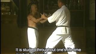 Okinawa Karate Volume1 Part 1 [upl. by Akcir]