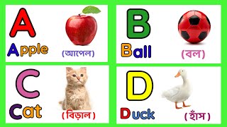 Learn Alphabet A To Z  English Alphabet With Life Example  ABC Preschool  A to Z acbd Video [upl. by Carlye]