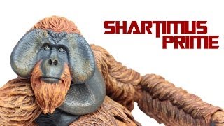 Dawn of the Planet of the Apes Maurice NECA Action Figure Review [upl. by Aicek]