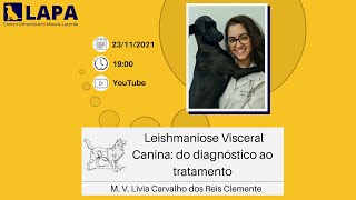 Palestra quotLeishmaniose Visceral Canina do diagnóstico ao tratamentoquot  LAPA [upl. by Atteuqal]