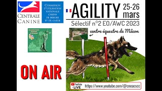 ​A​SE2​5​3​​CNEAC  Agility  ​Sélectif EO AWC 2  ​Samedi 25 mars 2023 [upl. by Ahseka]