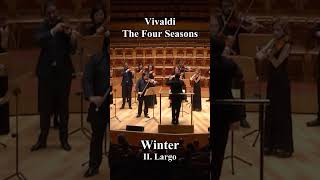 Vivaldi  The Four Seasons Winter  classicalmusic orchestra [upl. by Musser]