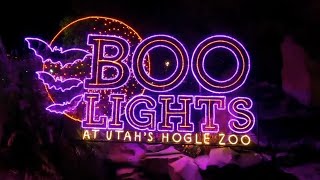 Halloween Boo Lights at Hogle Zoo [upl. by Dahsraf]