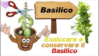 ESSICCARE E CONSERVARE IL BASILICO [upl. by Rep]