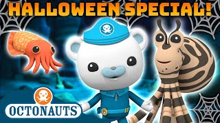 ​Octonauts  🎭 Trick or Treat Camouflage Creatures 👻  🎃 Halloween  60 Mins Compilation [upl. by Nylime522]