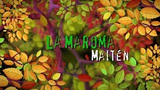 Maitén mi buen maitén aire de loncomeo La Maroma Bariloche [upl. by Naoma]