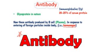 Introduction to antibody part1 hindi  structure of antibody [upl. by Salkin]