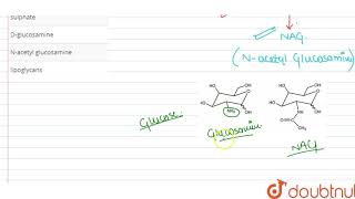 The chitinous exoskeleton of arthropods is formed by the polymerisation of [upl. by Ok998]