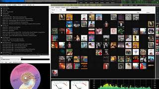 foobar2000 Theme  Discogs enhanced [upl. by Zerat]