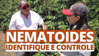 Nematoides identifique e controle [upl. by Trella723]