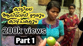 Ep 1 കാടും കാട്ടിലെ ആദിവാസി ഊരും  tribal colony adyanpara nilambur [upl. by Loriner408]