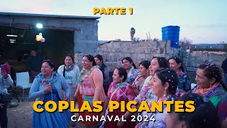 Coplas PICANTES de CARNAVAL 2024 Parte 1▷ Mallorca  España [upl. by Viguerie]