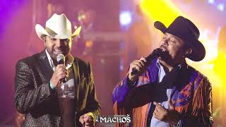 12 BANDA MACHOS Y MONTEZ DE DURANGO LAGRIMAS DEL CORAZON [upl. by Ardni641]