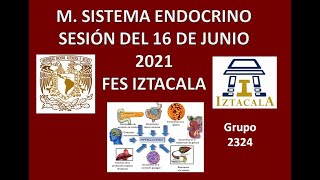 M Sistema Endocrino Sesión del Miércoles 16 de Junio del 2021 [upl. by Murdoch652]