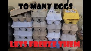 How to freeze eggs [upl. by Nagle]