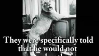 Christian the Lion quotThe Viewquot [upl. by Alita]