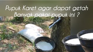 Pupuk Karet agar dapat getah Banyak pakai pupuk ini pupukkaret [upl. by Magena]