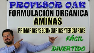 AMINAS PRIMARIAS SECUNDARIAS y TERCIARIAS FORMULACIÓN ORGÁNICA😲 SER un GENIO SIN ESTUDIAR 👌 [upl. by Giardap]