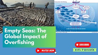 Empty Seas The Global Impact of Overfishing [upl. by Ingvar]